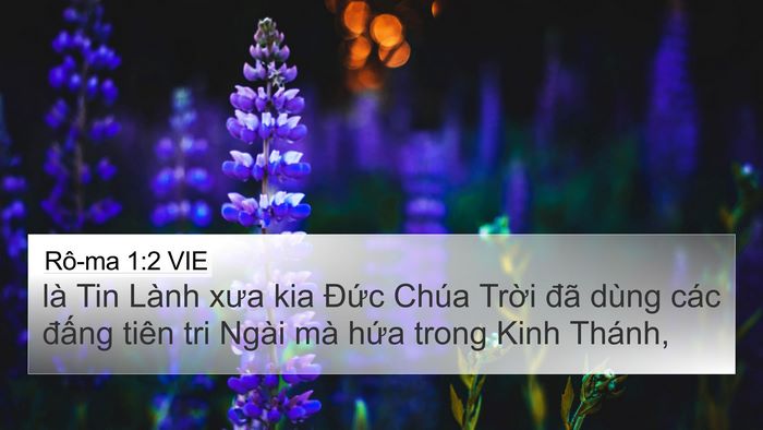 Rô-ma 1:2 VIE Bible Verse Image