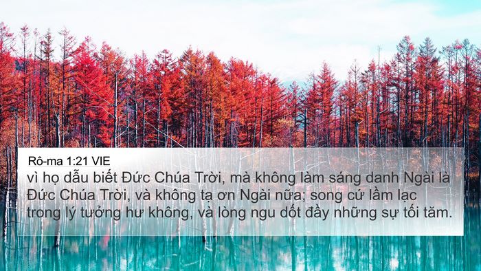 Rô-ma 1:21 VIE Bible Verse Image