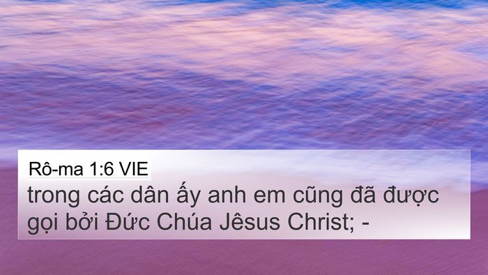 Rô-ma 1:6 VIE 4K Wallpaper - trong các dân ấy anh em cũng đã được - 4K Wallpaper Bible Verse