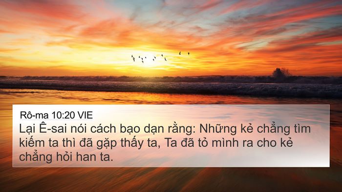 Rô-ma 10:20 VIE Bible Verse Image