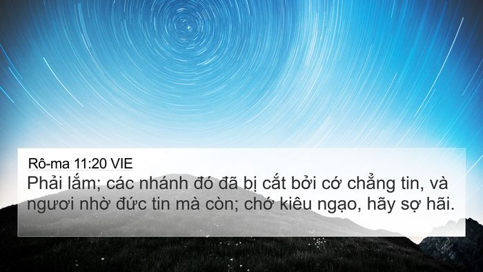 Rô-ma 11:20 VIE Bible Verse Image