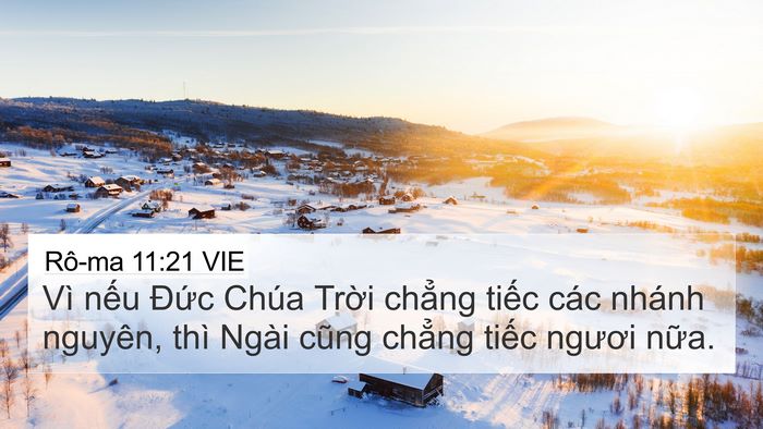 Rô-ma 11:21 VIE 4K Wallpaper - Vì nếu Đức Chúa Trời chẳng tiếc các - 4K Wallpaper Bible Verse