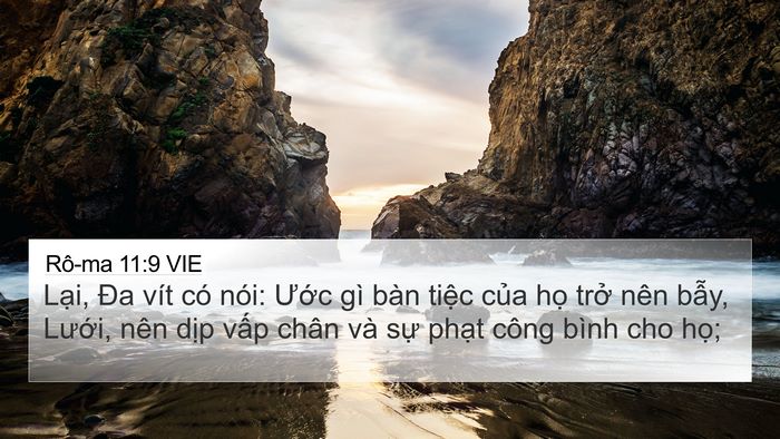 Rô-ma 11:9 VIE Bible Verse Image