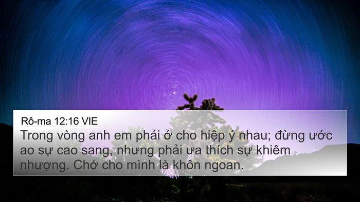 Rô-ma 12:16 VIE Bible Verse Image