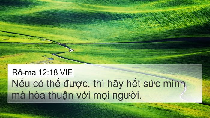 Rô-ma 12:18 VIE Bible Verse Image