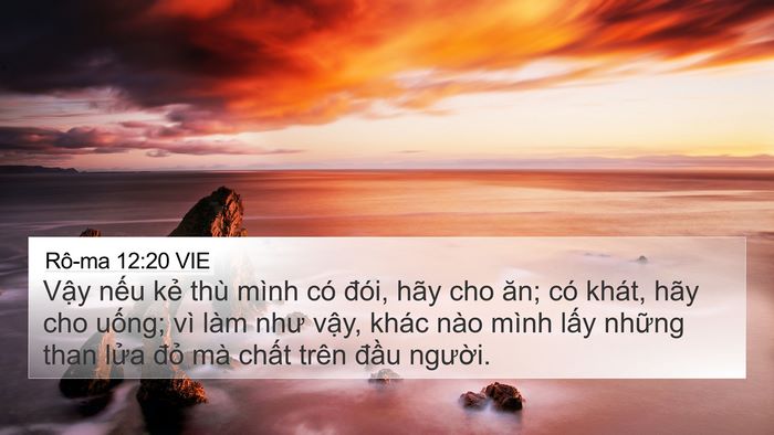 Rô-ma 12:20 VIE Bible Verse Image