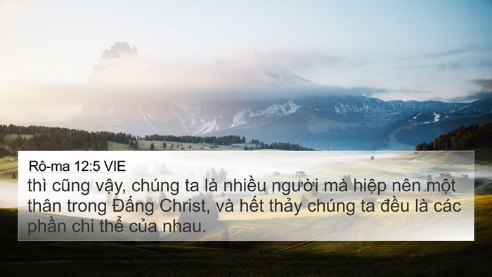 Rô-ma 12:5 VIE 4K Wallpaper - thì cũng vậy, chúng ta là nhiều người - 4K Wallpaper Bible Verse
