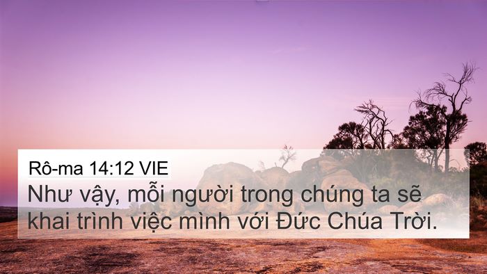 Rô-ma 14:12 VIE Bible Verse Image