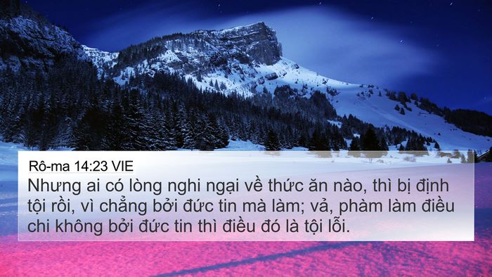 Rô-ma 14:23 VIE Bible Verse Image