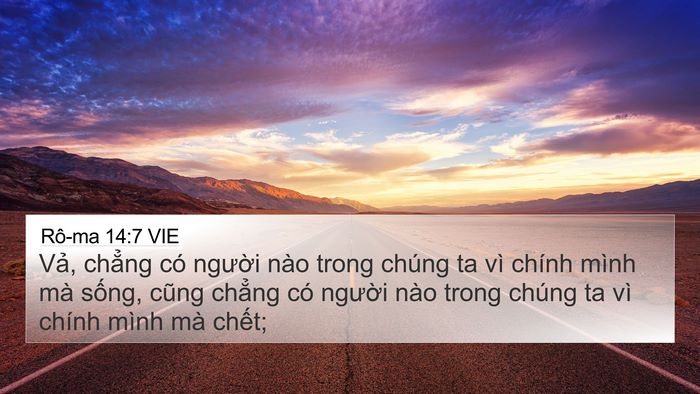 Rô-ma 14:7 VIE Bible Verse Image