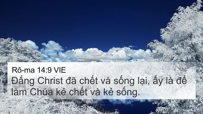 Rô-ma 14:9 VIE Bible Verse Image