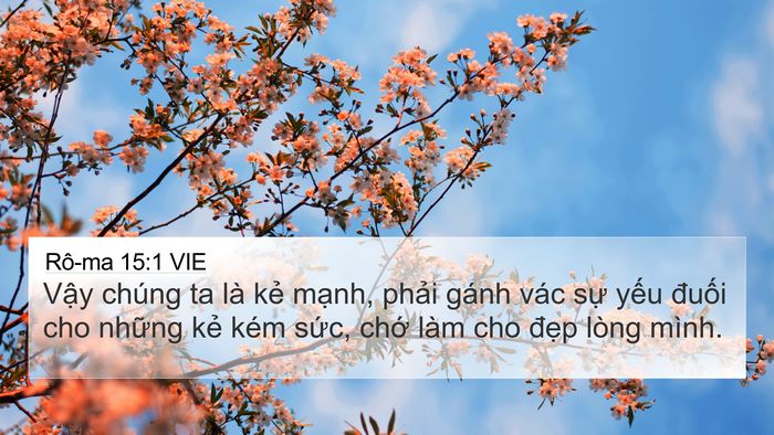 Rô-ma 15:1 VIE Bible Verse Image