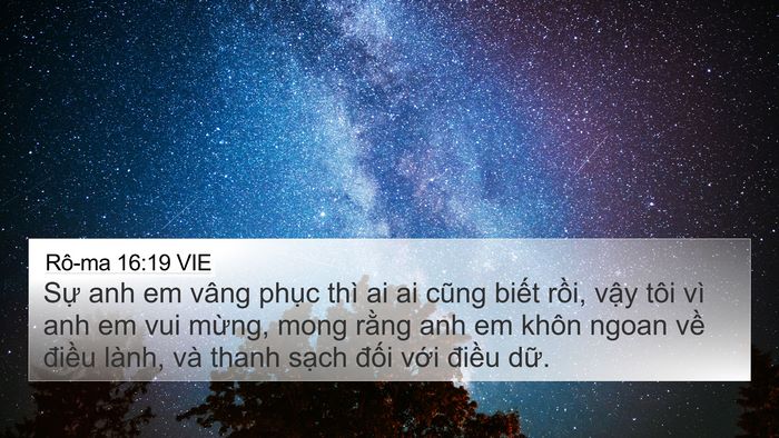 Rô-ma 16:19 VIE Bible Verse Image