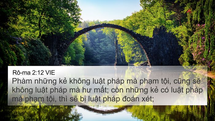 Rô-ma 2:12 VIE Bible Verse Image