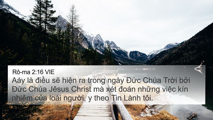 Rô-ma 2:16 VIE Bible Verse Image