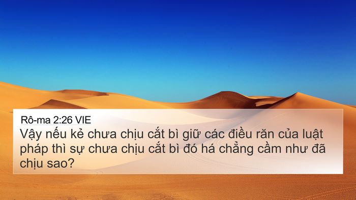 Rô-ma 2:26 VIE Bible Verse Image