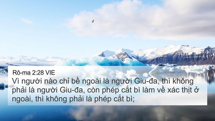 Rô-ma 2:28 VIE Bible Verse Image