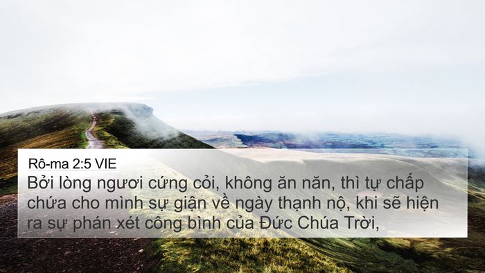 Rô-ma 2:5 VIE Bible Verse Image
