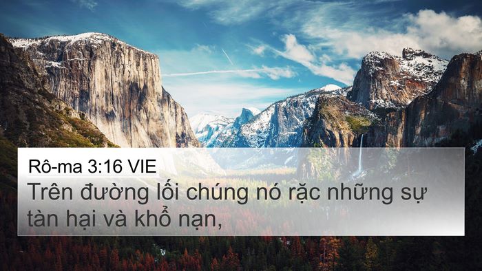 Rô-ma 3:16 VIE Bible Verse Image