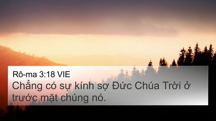 Rô-ma 3:18 VIE Bible Verse Image