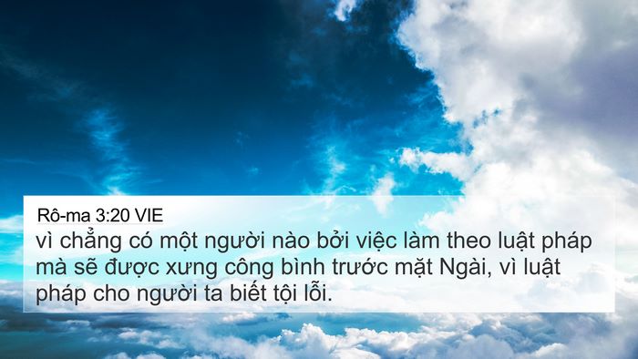 Rô-ma 3:20 VIE Bible Verse Image