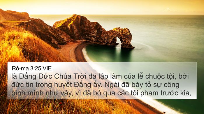 Rô-ma 3:25 VIE Bible Verse Image