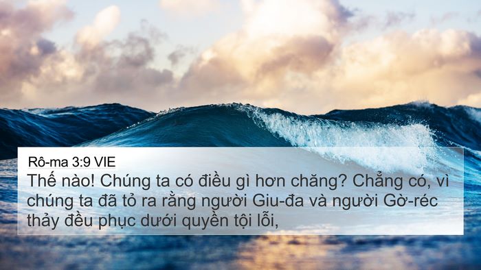 Rô-ma 3:9 VIE Bible Verse Image