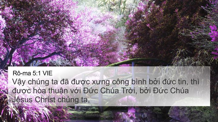 Rô-ma 5:1 VIE Bible Verse Image