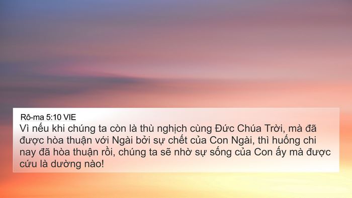 Rô-ma 5:10 VIE Bible Verse Image