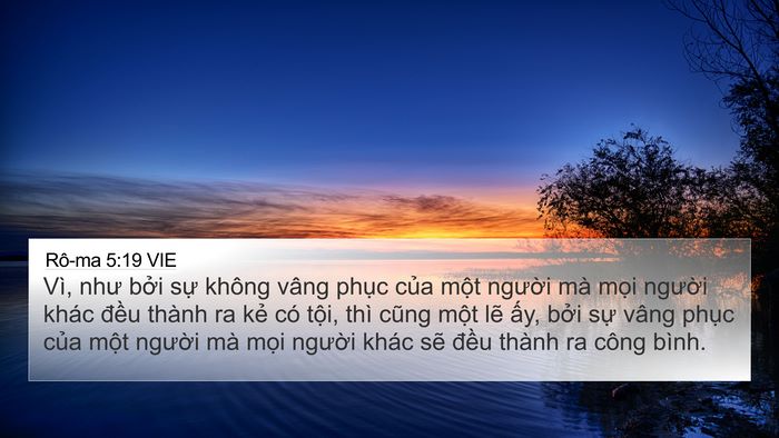 Rô-ma 5:19 VIE Bible Verse Image