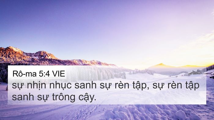 Rô-ma 5:4 VIE 4K Wallpaper - sự nhịn nhục sanh sự rèn tập, sự - 4K Wallpaper Bible Verse