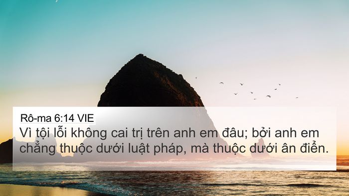 Rô-ma 6:14 VIE Bible Verse Image