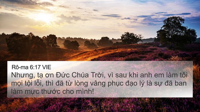 Rô-ma 6:17 VIE Bible Verse Image