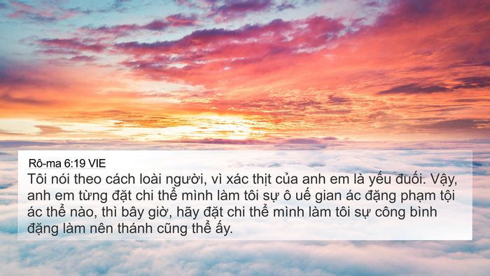 Rô-ma 6:19 VIE Bible Verse Image
