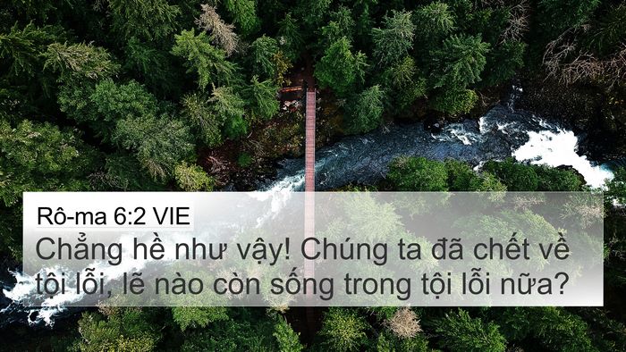 Rô-ma 6:2 VIE Bible Verse Image