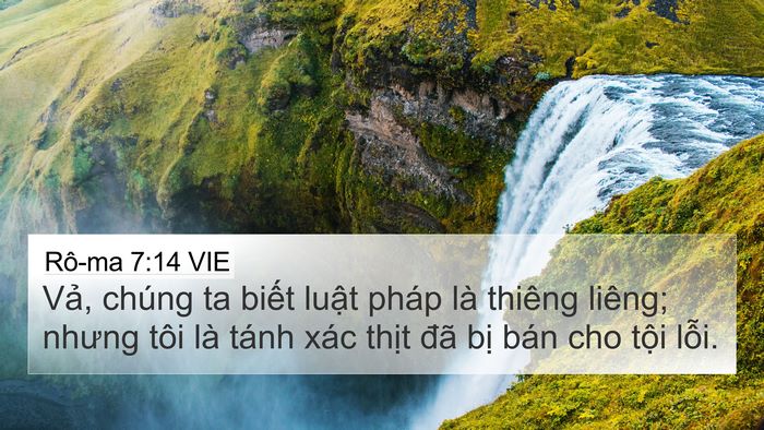 Rô-ma 7:14 VIE Bible Verse Image