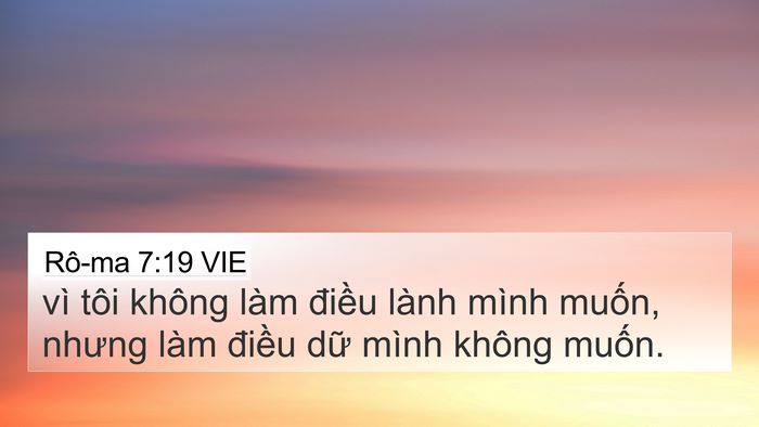 Rô-ma 7:19 VIE Bible Verse Image