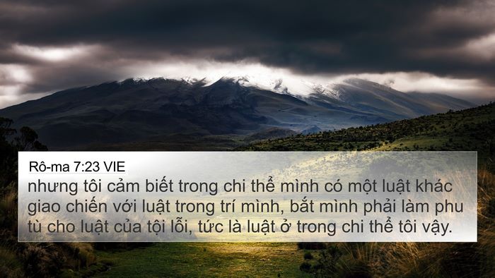 Rô-ma 7:23 VIE Bible Verse Image