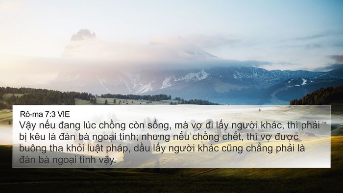 Rô-ma 7:3 VIE Bible Verse Image