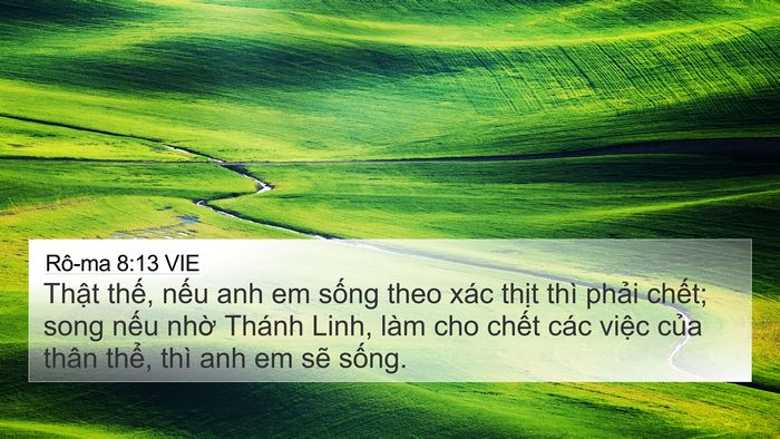 Rô-ma 8:13 VIE Bible Verse Image
