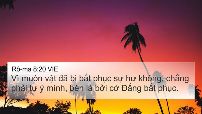 Rô-ma 8:20 VIE Bible Verse Image