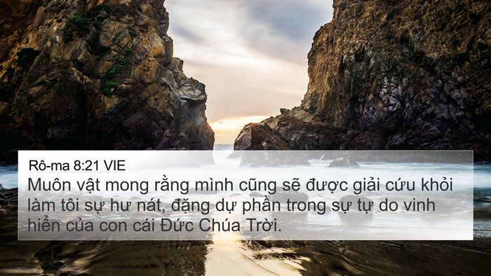 Rô-ma 8:21 VIE Bible Verse Image
