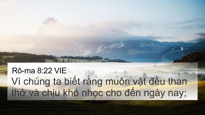 Rô-ma 8:22 VIE Bible Verse Image