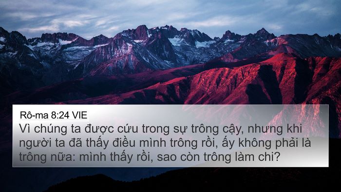 Rô-ma 8:24 VIE Bible Verse Image