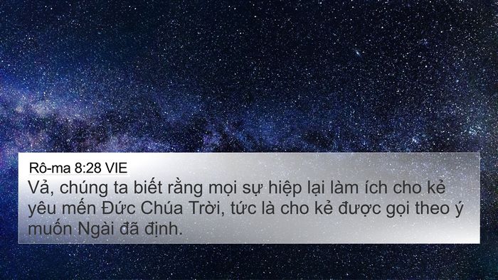 Rô-ma 8:28 VIE Bible Verse Image