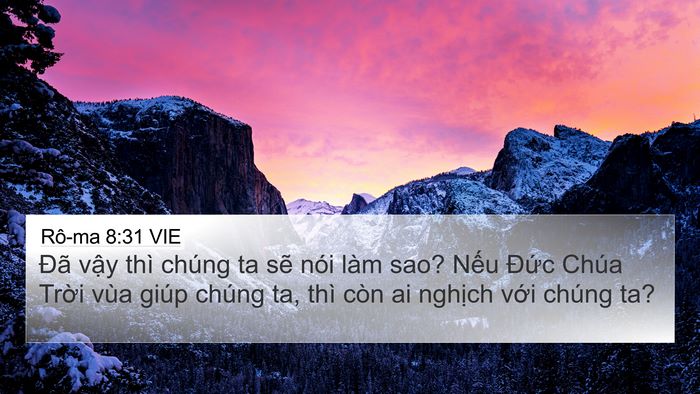 Rô-ma 8:31 VIE Bible Verse Image