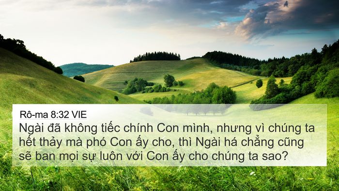 Rô-ma 8:32 VIE Bible Verse Image