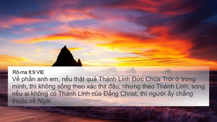 Rô-ma 8:9 VIE Bible Verse Image
