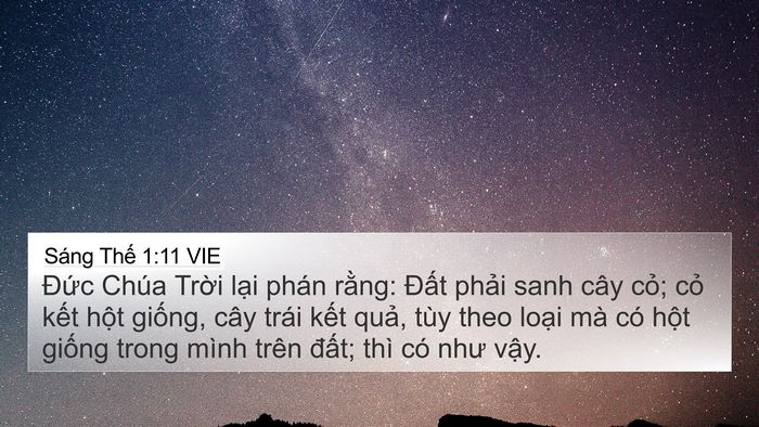 Sáng Thế 1:11 VIE 4K Wallpaper - Đức Chúa Trời lại phán rằng: Đất - 4K Wallpaper Bible Verse