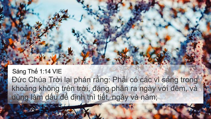 Sáng Thế 1:14 VIE Bible Verse Image